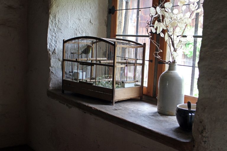 bird-cage-402205_1280