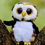 owl-845131_640