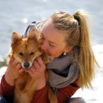 Dog travel tips