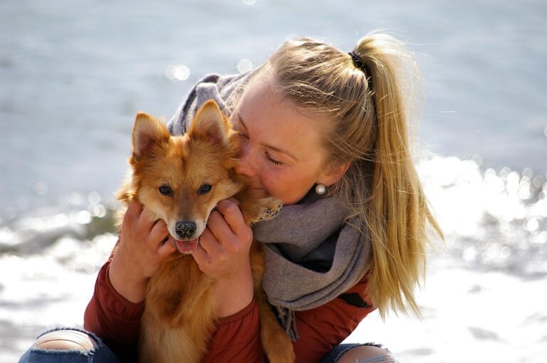Dog travel tips