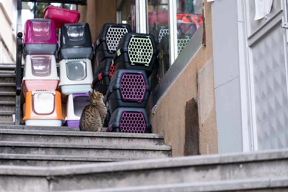 Small pet carriers