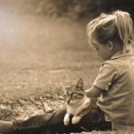 Creating a small pet play area