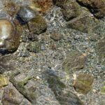 Reptile hydration tips