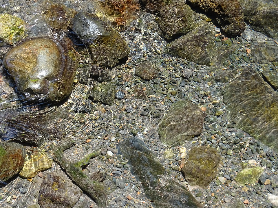 Reptile hydration tips